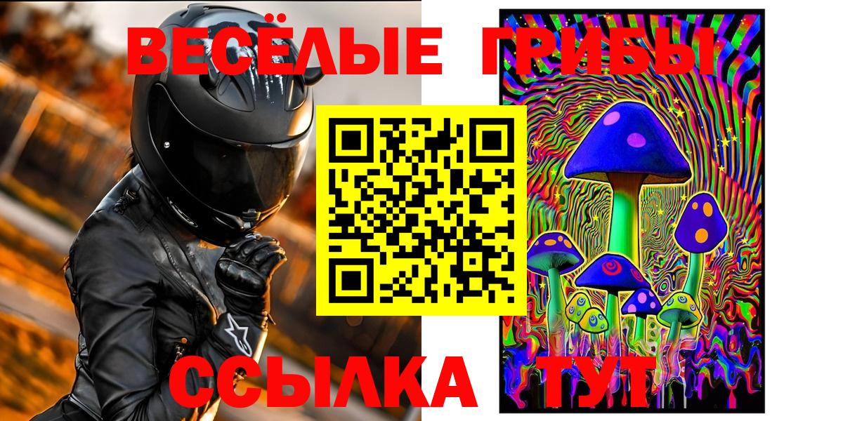 Находка  Псилоцибиновые грибы MAGIC MUSHROOMS  Вход с VPN 