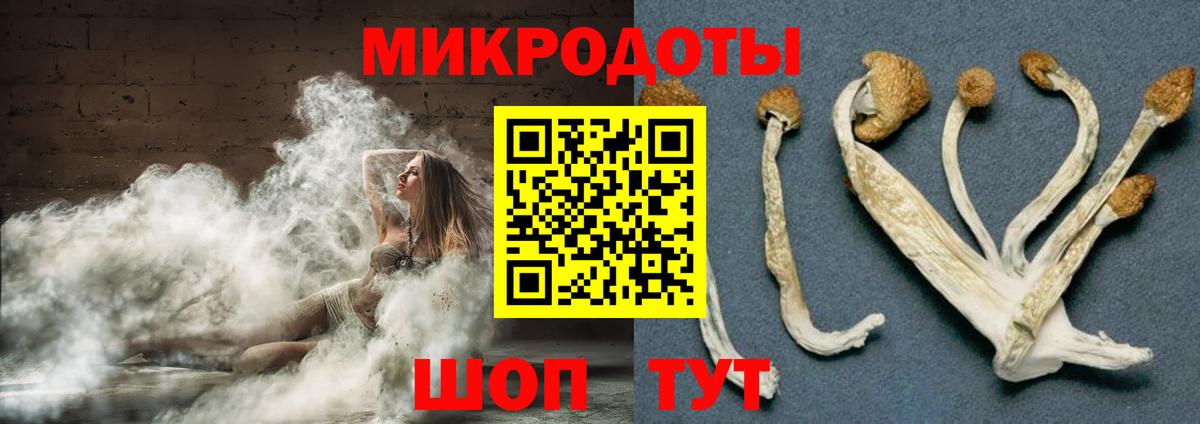 Псилоцибиновые грибы прущие грибы Находка